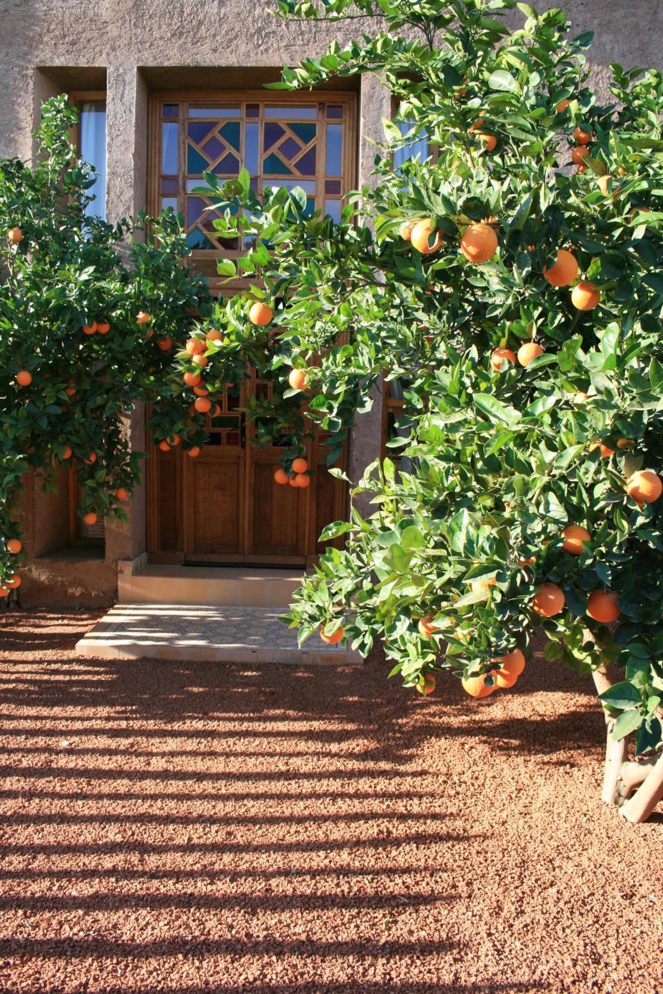 ホテル Casa Taos Douar Azib el goundafi エクステリア 写真